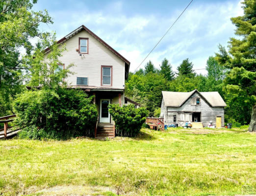 5458 ROUTE 23A, HAINES FALLS, NY 12436 - Image 1