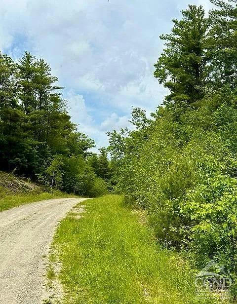 0 OLD GHOST ROAD, CANAAN, NY 12029, photo 1 of 4