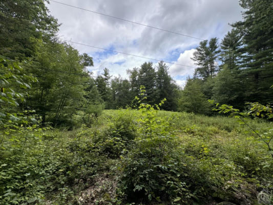 200 FIRE HILL ROAD, AUSTERLITZ, NY 12017 - Image 1