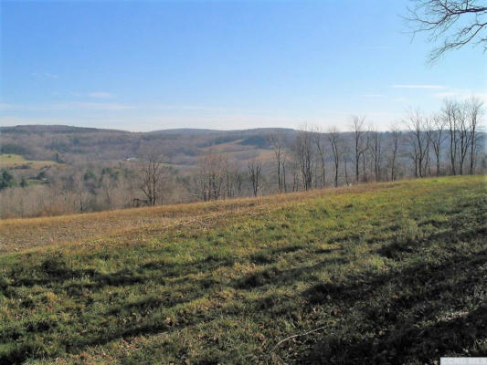 0 LOT 2 OLD GALE HILL ROAD, NEW LEBANON, NY 12212, photo 4 of 5