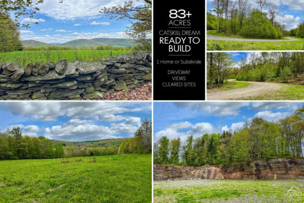 0 STATE HIGHWAY 28, ANDES, NY 13731 - Image 1