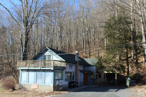 13516 ROUTE 23, PRATTSVILLE, NY 12468 - Image 1