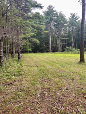 0 POSSON HILL ROAD # LOT 3, MIDDLEBURGH, NY 12122 - Image 1