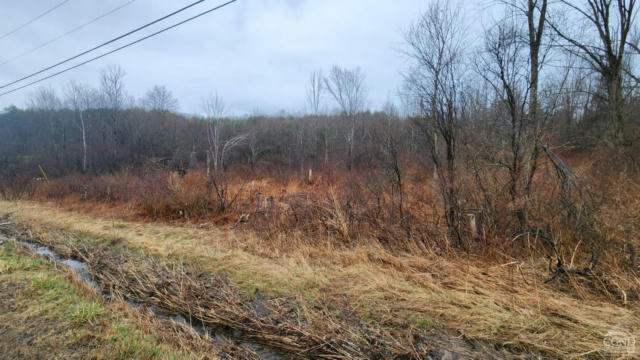 0 COUNTY ROUTE 352, RENSSELAERVILLE, NY 12418 - Image 1