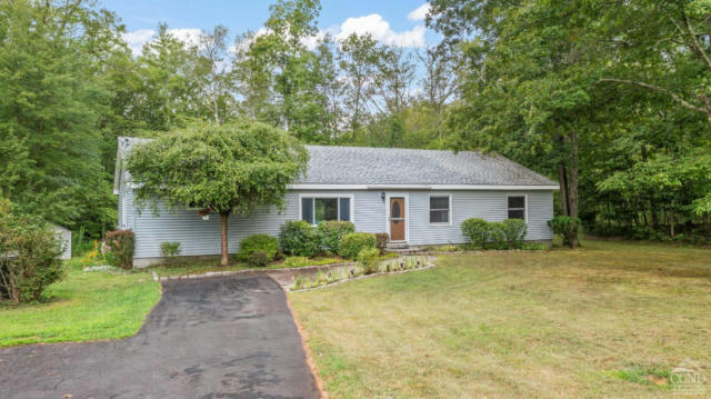 251 VERNAL BUTLER RD, CAIRO, NY 12413 - Image 1