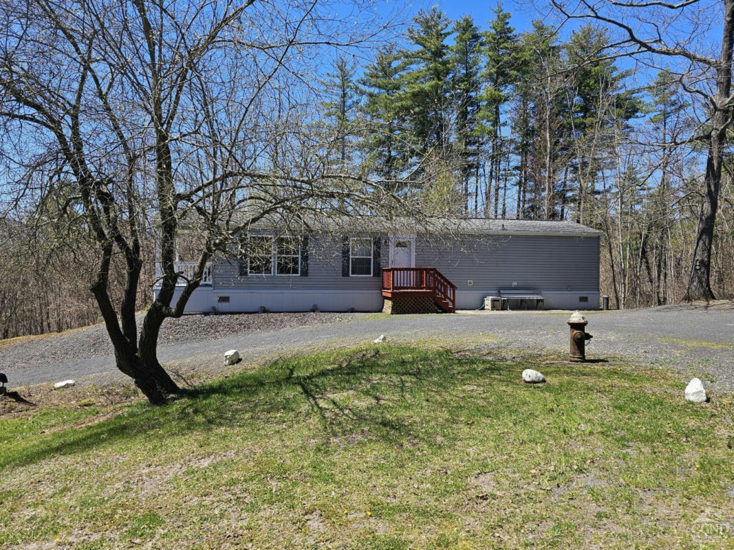 274 CANIFF RD, FREEHOLD, NY 12431, photo 1 of 20